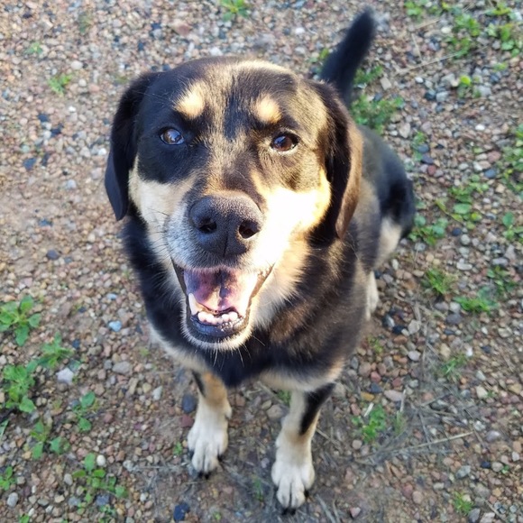 Meet your Posher, Deborah - Picture 1 of 1